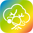 树梦 Logo